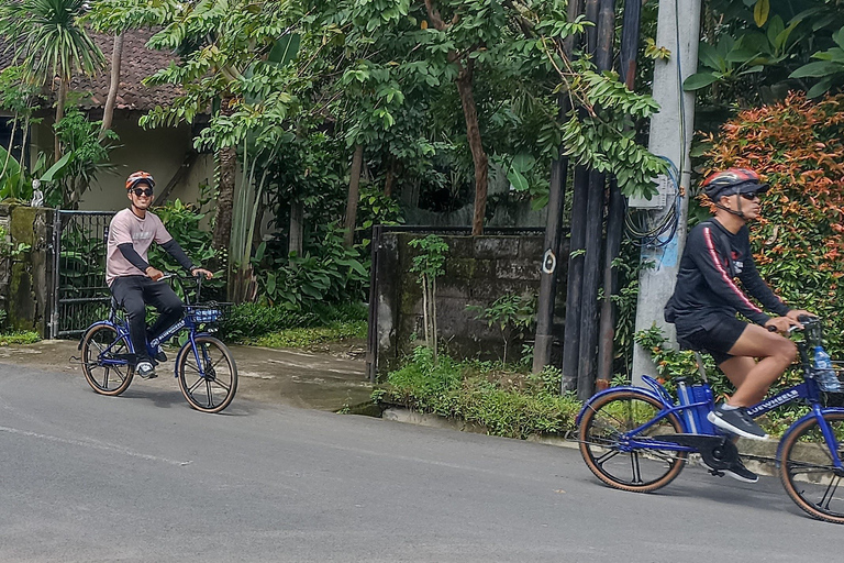 Sanur village Ebike tour