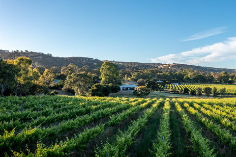 McLaren Vale: Excursão privada pela vinícola biodinâmica Gemtree Wines