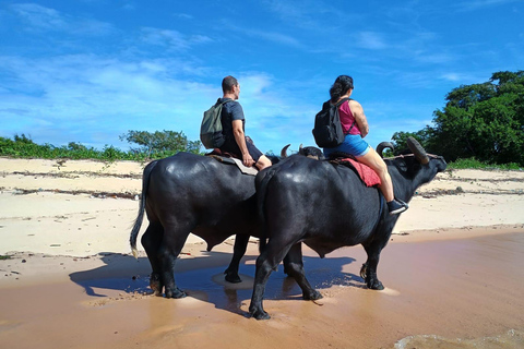 Búfalo Tour Salvaterra