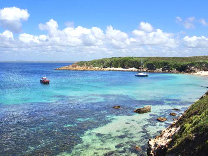 Nelson Bay: Port Stephens Island Snorkel Adventure Cruise
