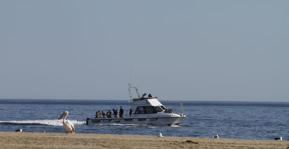 Mola-Kreuzfahrt mit Strand-Braai