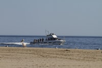 Mola Cruise with Beach Braai - Housity