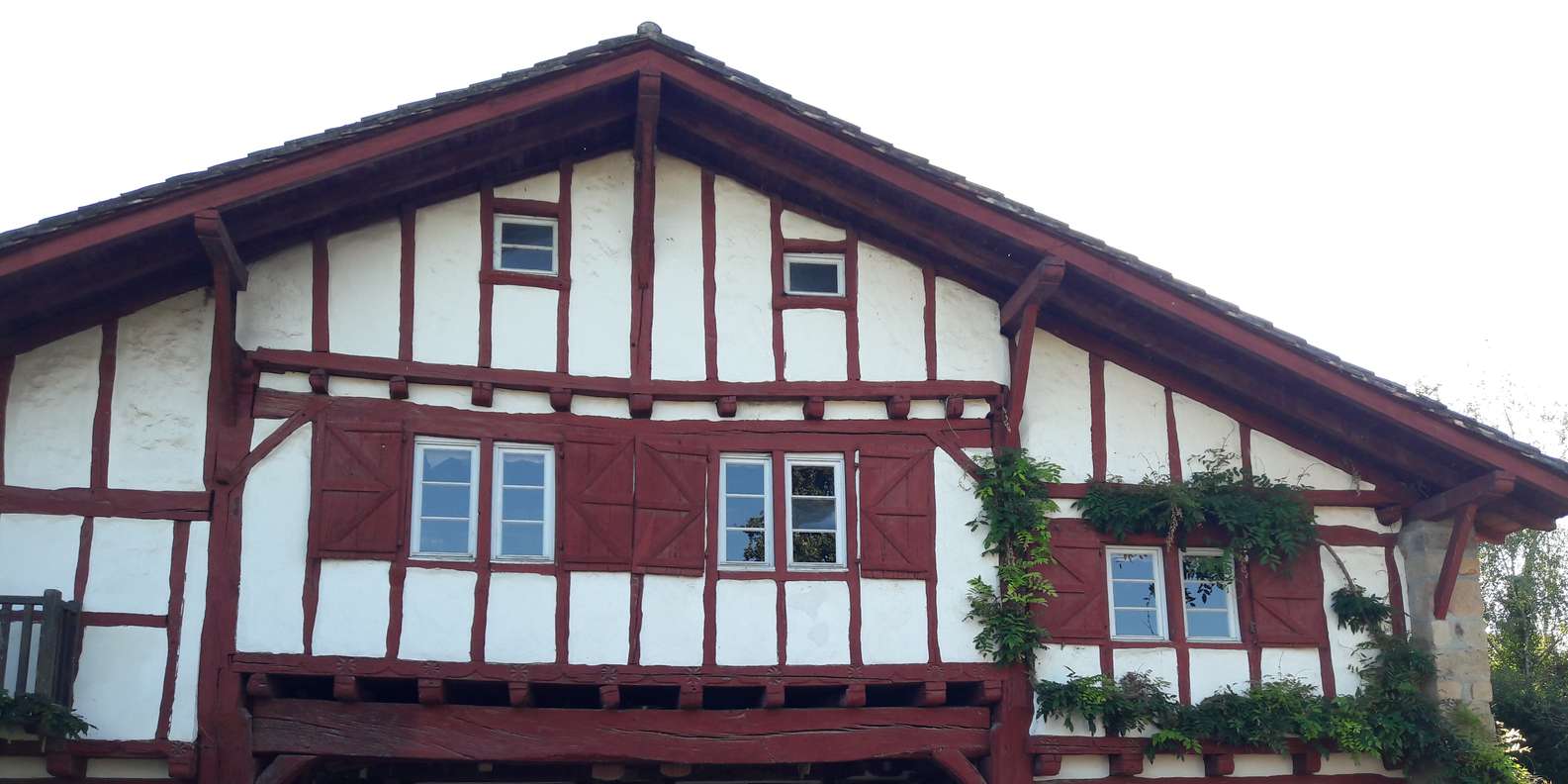 section