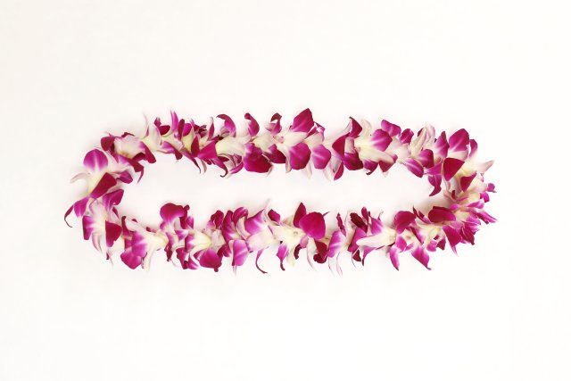 Aeropuerto de Kahului: Saludo con flores de Maui a la llegada