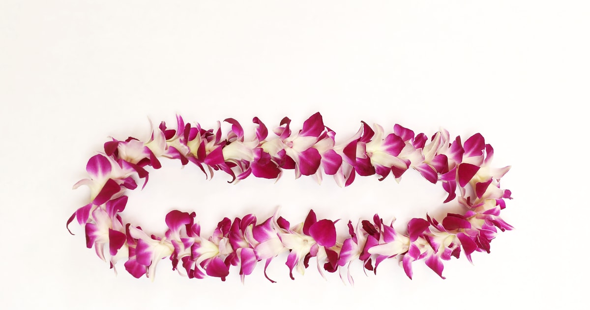 Kahului Airport Maui Flower Lei Greeting Upon Arrival GetYourGuide