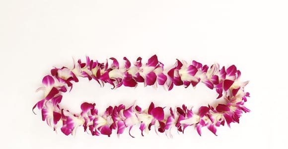 Kahului Airport: Maui Flower Lei Greeting Upon Arrival