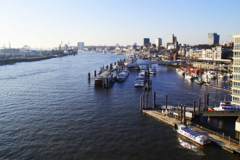 Hamburg: 2,5-godzinna prywatna piesza wycieczka historyczna