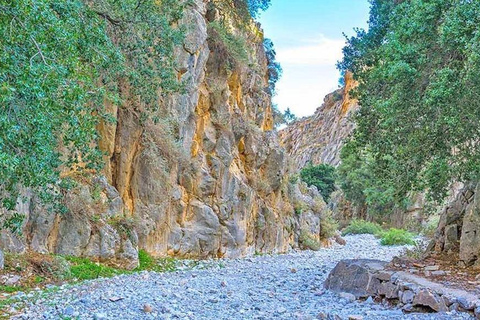 From Heraklion: Imbros Gorge and Libyan Sea Guided Day Trip Pickup from Heraklion and Ammoudara