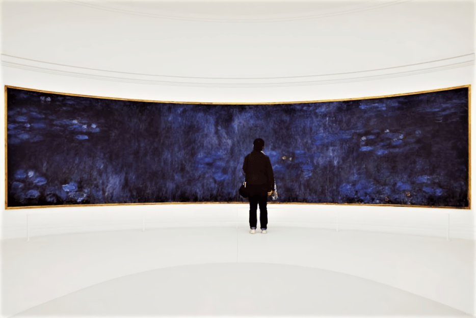 Paris: Orangerie Museum Entry Ticket and Seine Cruise Ticket