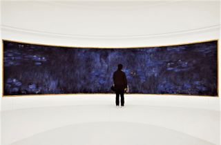 Paris: Eintrittskarte für das Musée de l'Orangerie und Ticket für eine Seine-Kreuzfahrt