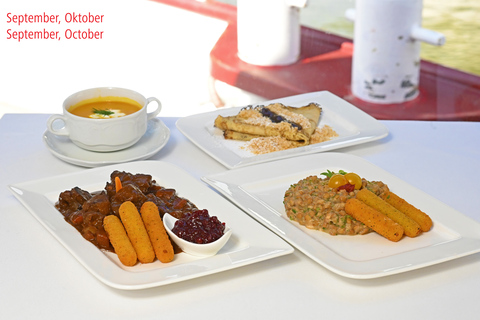 Vienna: crociera sul Danubio con specialità viennesi facoltativeCrociera sul Danubio di 3,5 ore con pranzo