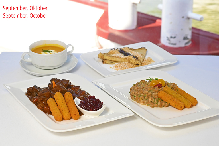 Vienna: crociera sul Danubio con specialità viennesi facoltativeCrociera sul Danubio di 3,5 ore con pranzo