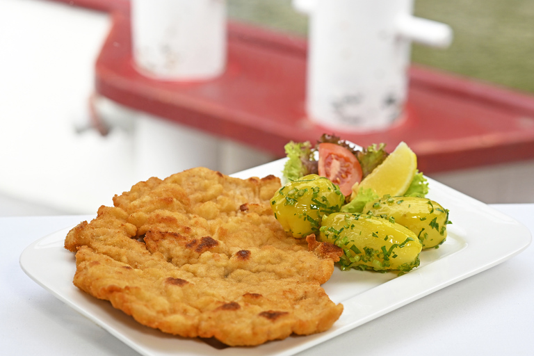 Vienna: crociera sul Danubio con specialità viennesi facoltativeCrociera sul Danubio di 3,5 ore con pranzo