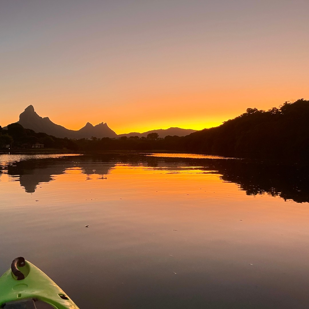 Galería de fotos para redes
