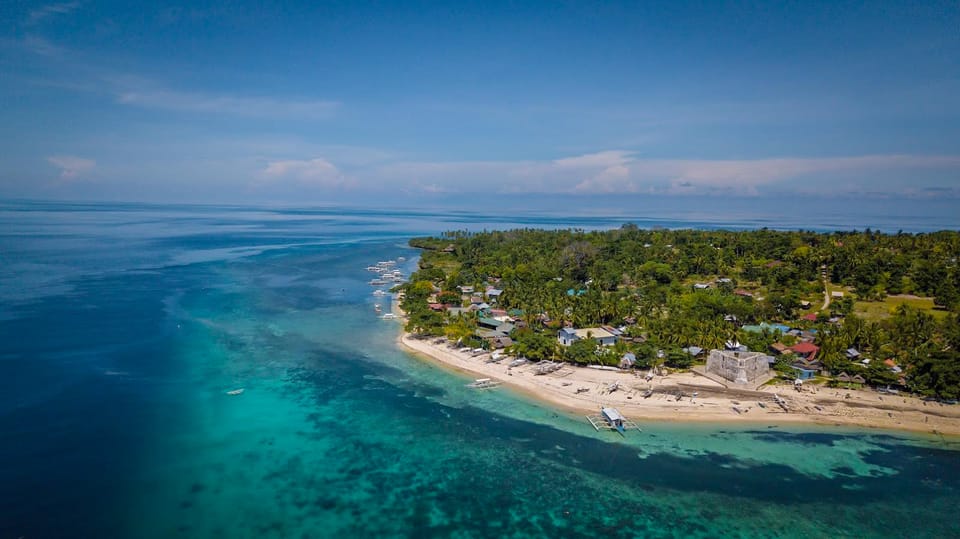 Bohol, Pamilacan Island Dolphin&Turtle Visita y almuerzo - Hizvo
