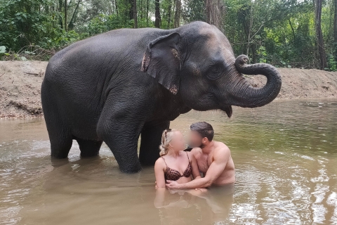 Khao Lak: Elephant Bathing and Feeding Tour with Waterfall Elephant Bathing and Feeding Morning Tour