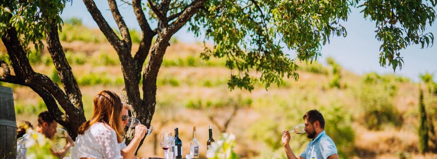 Falset : visite guidée des vins du Priorat par un local