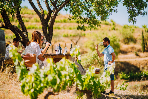 Falset: Private geführte Weintour zum Priorat von einem EinheimischenPrivat geführte Weintour zum Priorat von einem lokalen