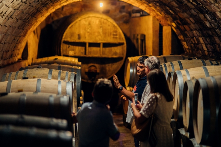 Falset: Prywatna wycieczka z przewodnikiem po winie do Priorat przez lokalnegoPrivate Guided Wine Tour do Priorat przez miejscowego