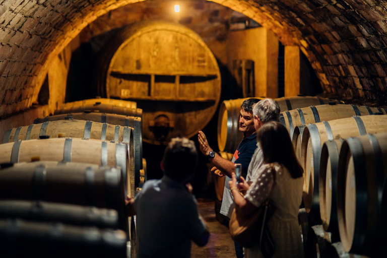 Falset: excursão guiada ao Priorat por um localFalset: Visita guiada de vinhos ao Priorat por um local