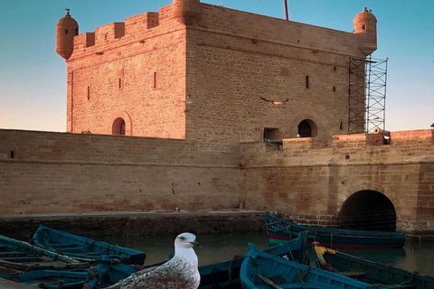 From Marrakech: Essaouira Full-Day Trip