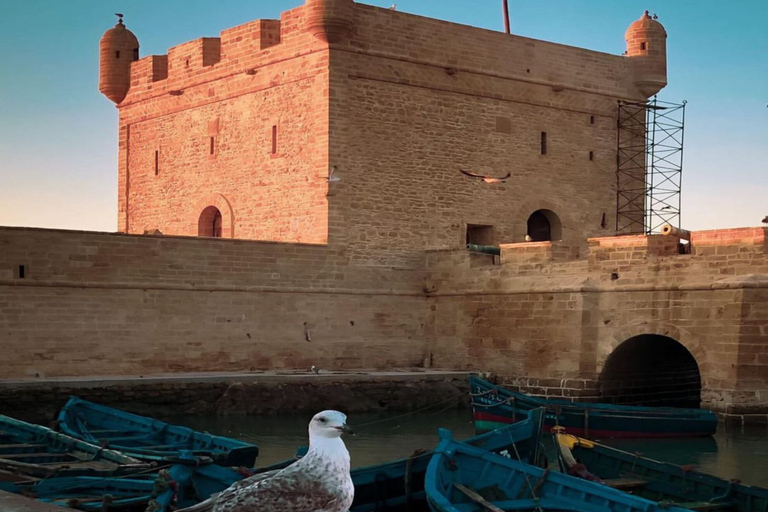 Depuis Marrakech : excursion d'une journée à Essaouira