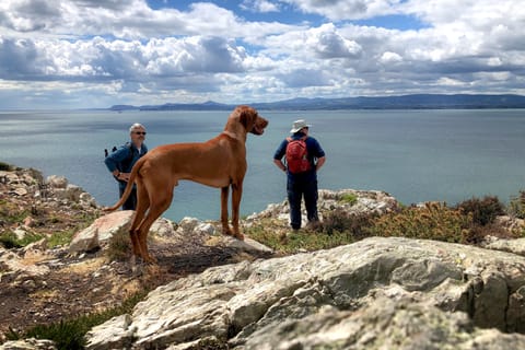 Dublin: Howth Coastal Hiking Tour