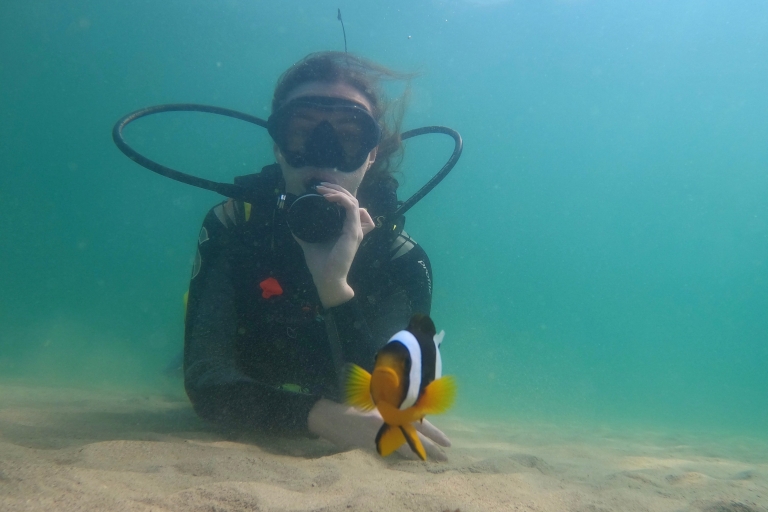 Z Dubaju: nurkowanie i nurkowanie w Fujairah