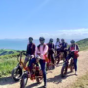 Dublin: Panoramic e-Bike Tour