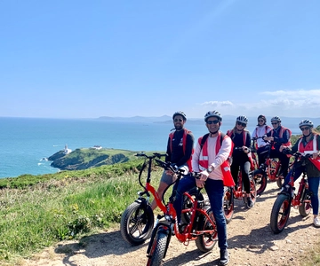 Dublin: Panoramic e-Bike Tour