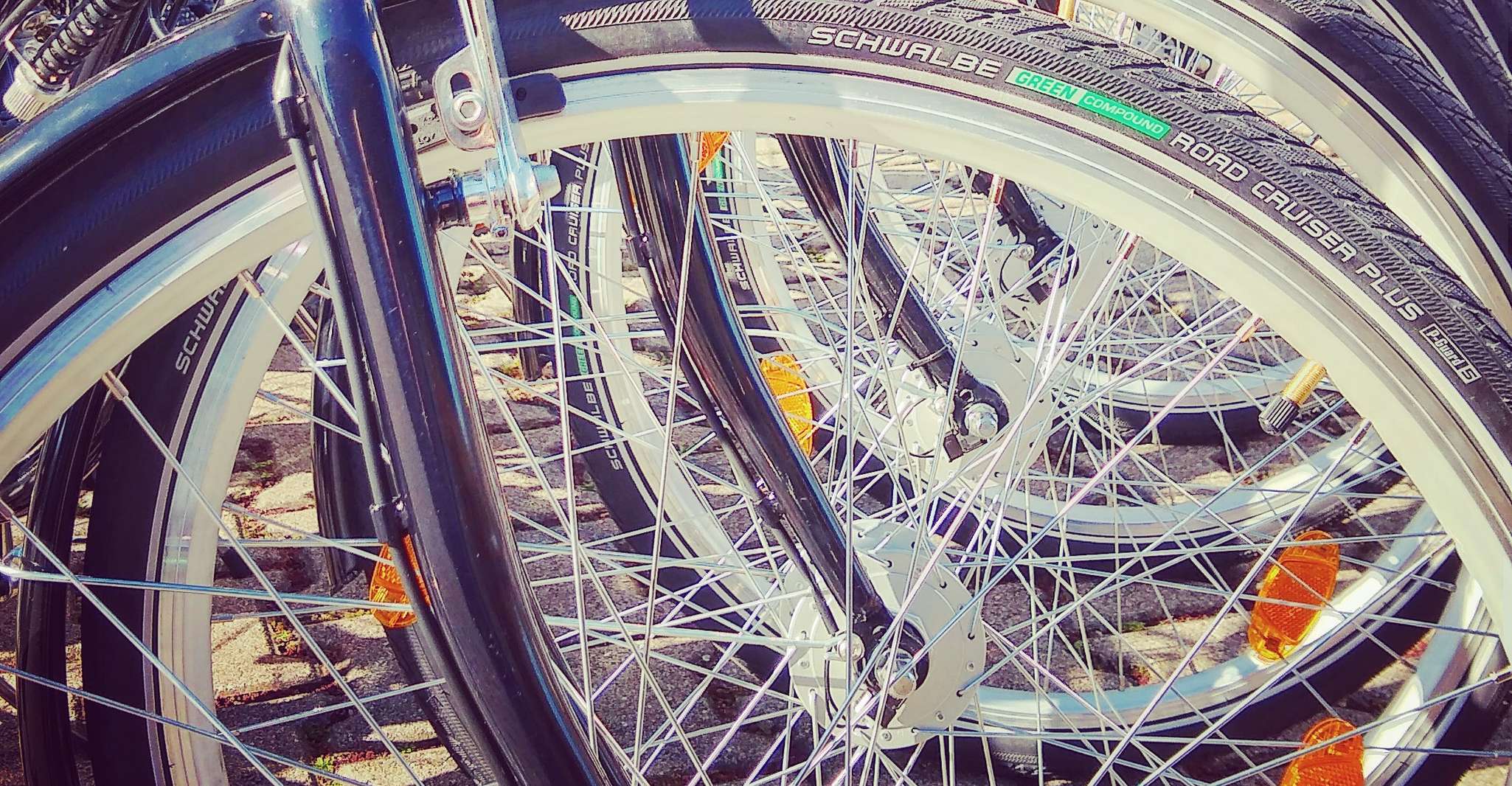 Heidelberg, Visite guidée en vélo - Hizvo