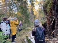 Stockholm, Wildlife Safari - Housity