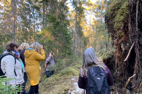 Speuren naar wolven en wilde dieren in Zweden