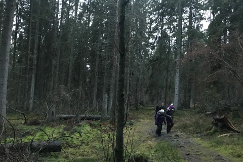 Speuren naar wolven en wilde dieren in Zweden