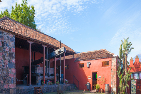 Tenerife: 4-uur durende Gauchinche Food Tour