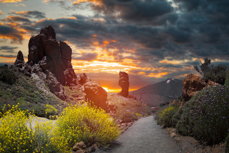 Nationaal park Teide: privétour landschappen en uitzichtpunten