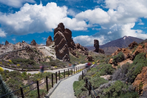 Park Narodowy Teide: Prywatna wycieczka po krajobrazach i punktach widokowych