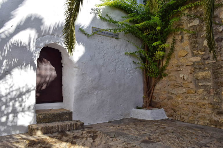 Vejer de la Frontera: Historical Walking Tour