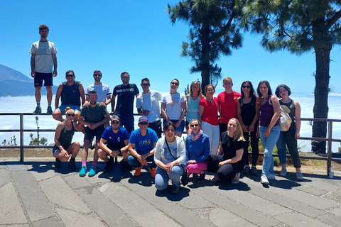 Parco Nazionale del Teide: tour privato di paesaggi e punti panoramici