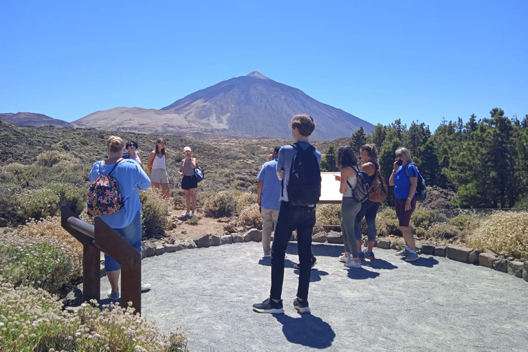 Parco Nazionale del Teide: tour privato di paesaggi e punti panoramici