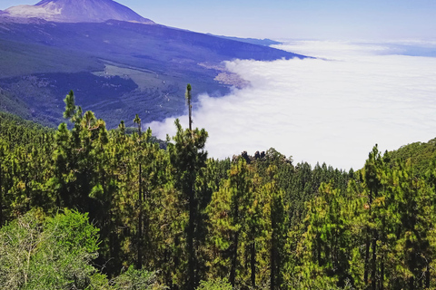 Parc national du Teide: visite privée des paysages et des points de vue