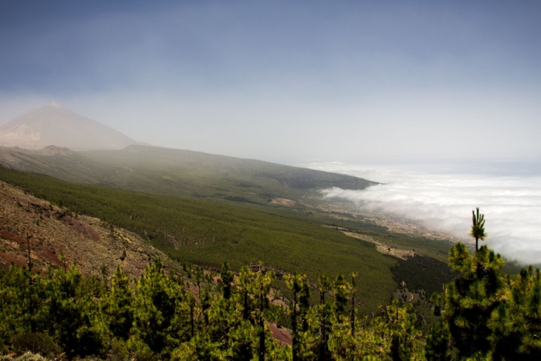 Nationaal park Teide: privétour landschappen en uitzichtpunten