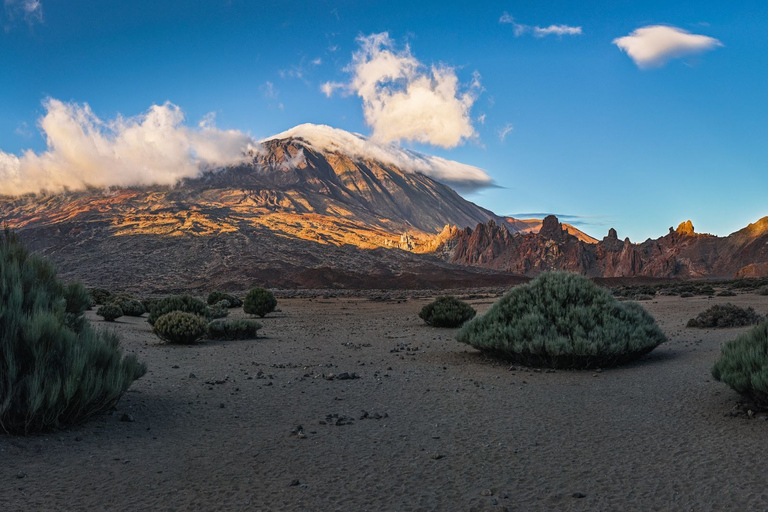 Parc national du Teide: visite privée des paysages et des points de vue