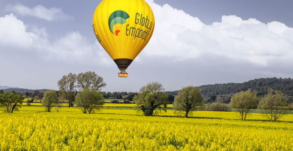 A yellow hot-air balloon above a field in yellow bloom
