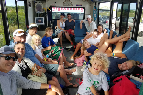 Martha's Vineyard: All Island Tour