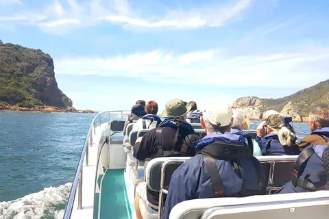 Aventura em Knysna Heads e no Estuário