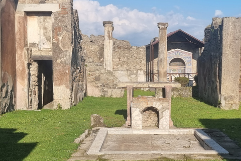 Naples: Pompeii Self Guided Audio Tour Pompeii self guided smart audio tour