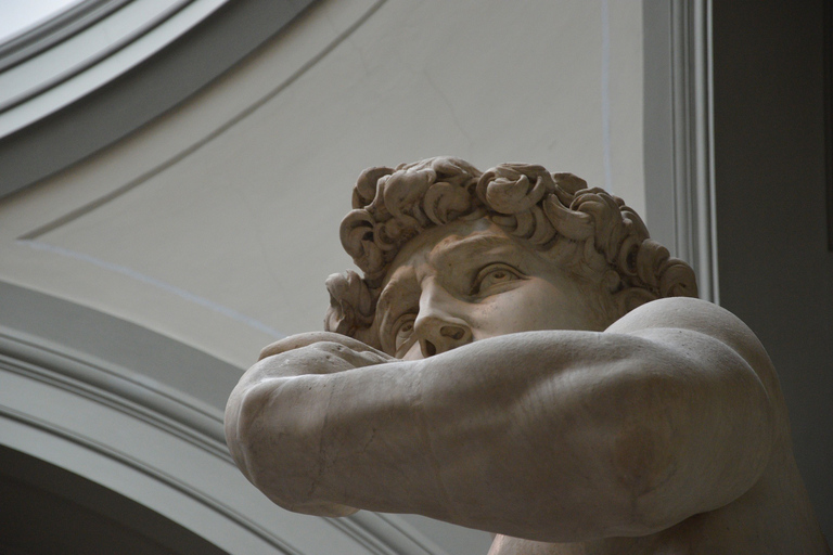 Florence: visite guidée de l’Académie avec billets coupe-fileVisite en italien