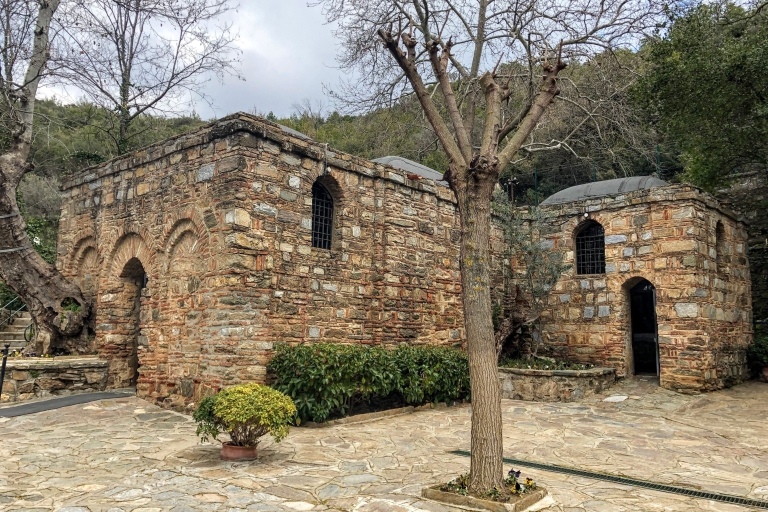 Excursion d'une demi-journée à Éphèse et à la Maison de la Vierge Marie au départ de Kusadasi