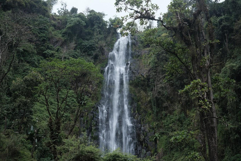3-tägige Arusha, Tarangire und Materuni Wasserfall Tour
